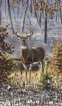 鹿 Painting - 孤独なオジロ